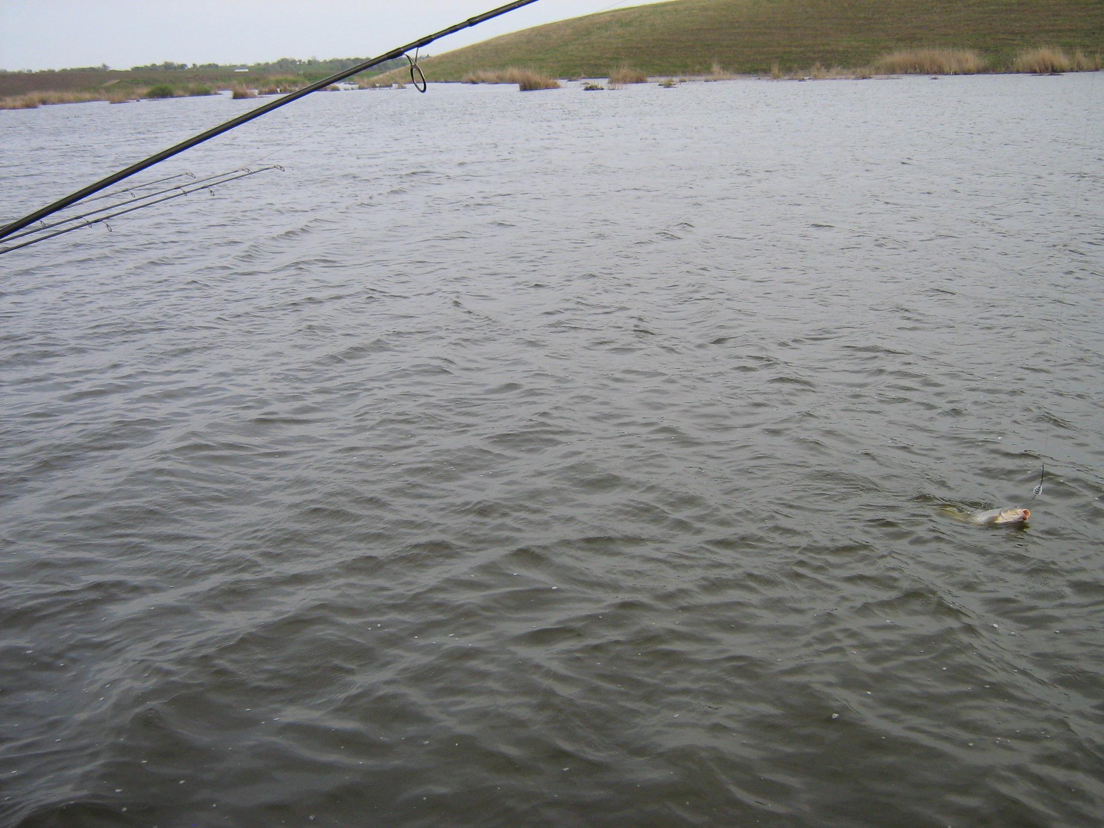 Party Cup -Hobaia 2010